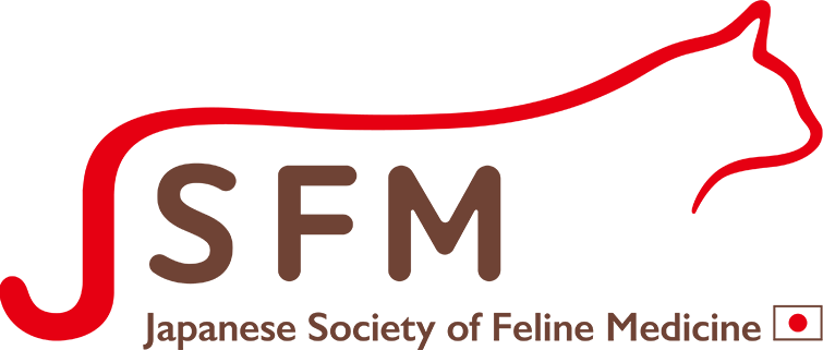 JSFM